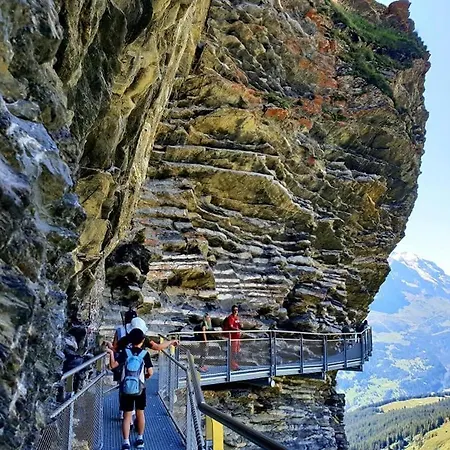 Casita Do ليسيغن